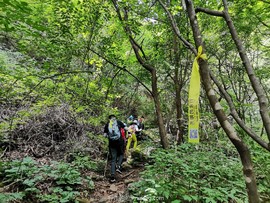 mmexport1657369109312_edit_43322071749639