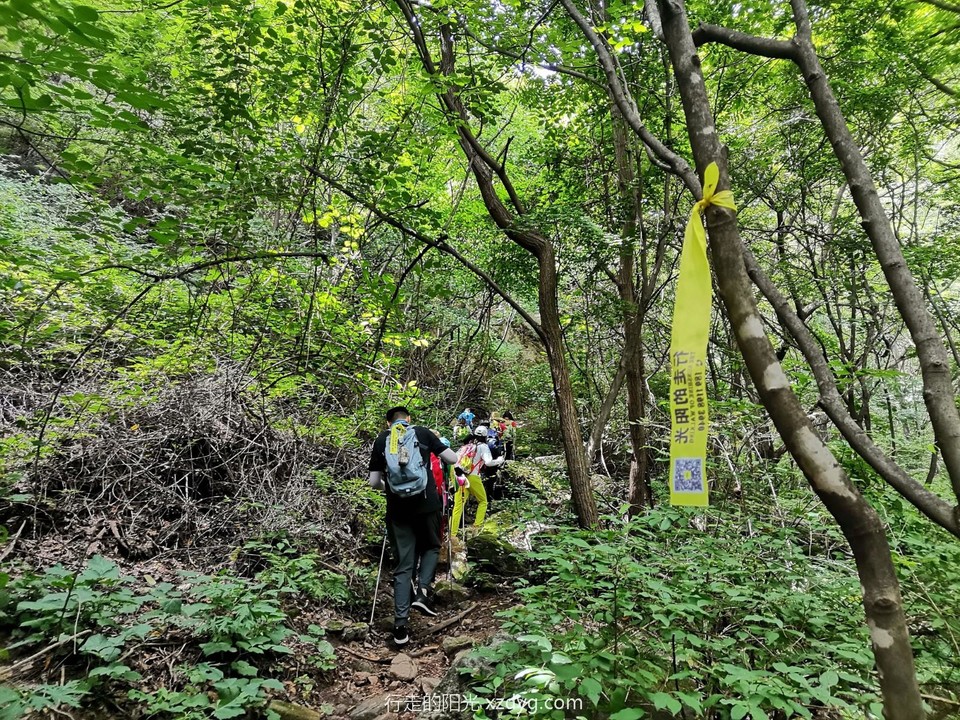 mmexport1657369109312_edit_43322071749639