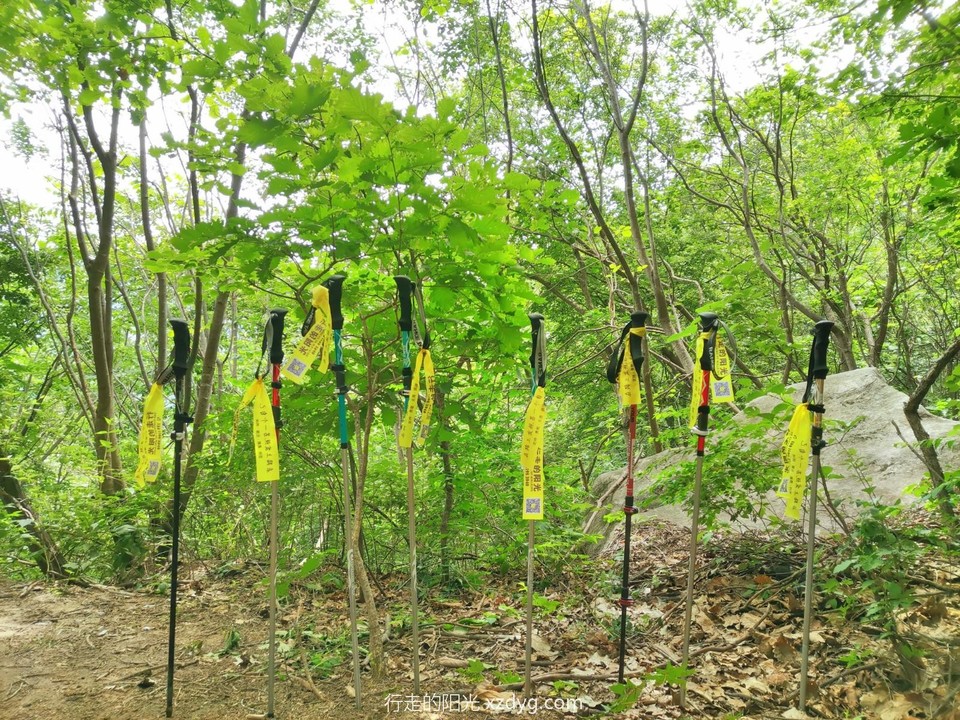 mmexport1657369119535_edit_43342210316302