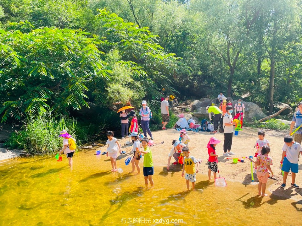 mmexport1657546247199