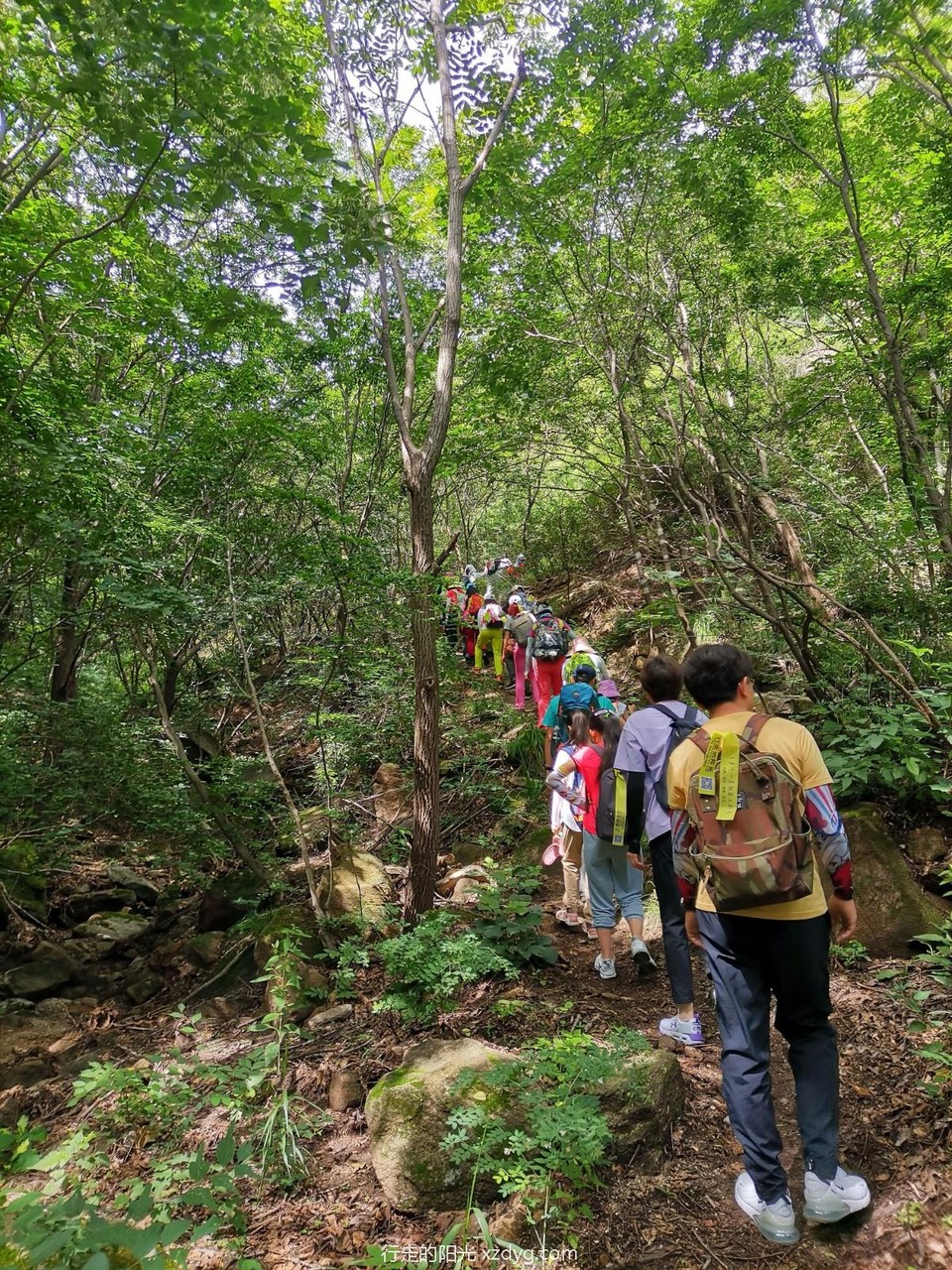 mmexport1657461974479_edit_106112276247350