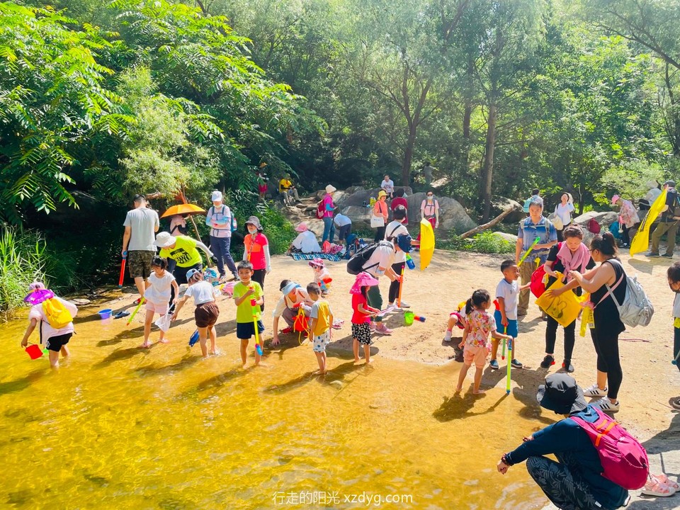 mmexport1657546224332