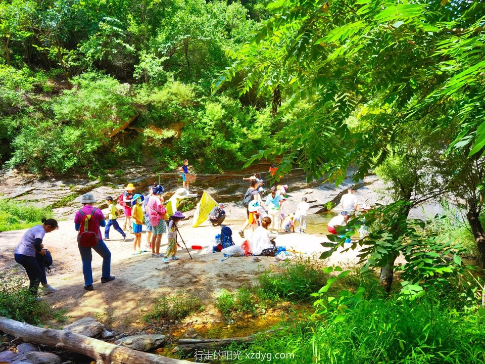 IMG_20220710_101808_edit_69955816583075