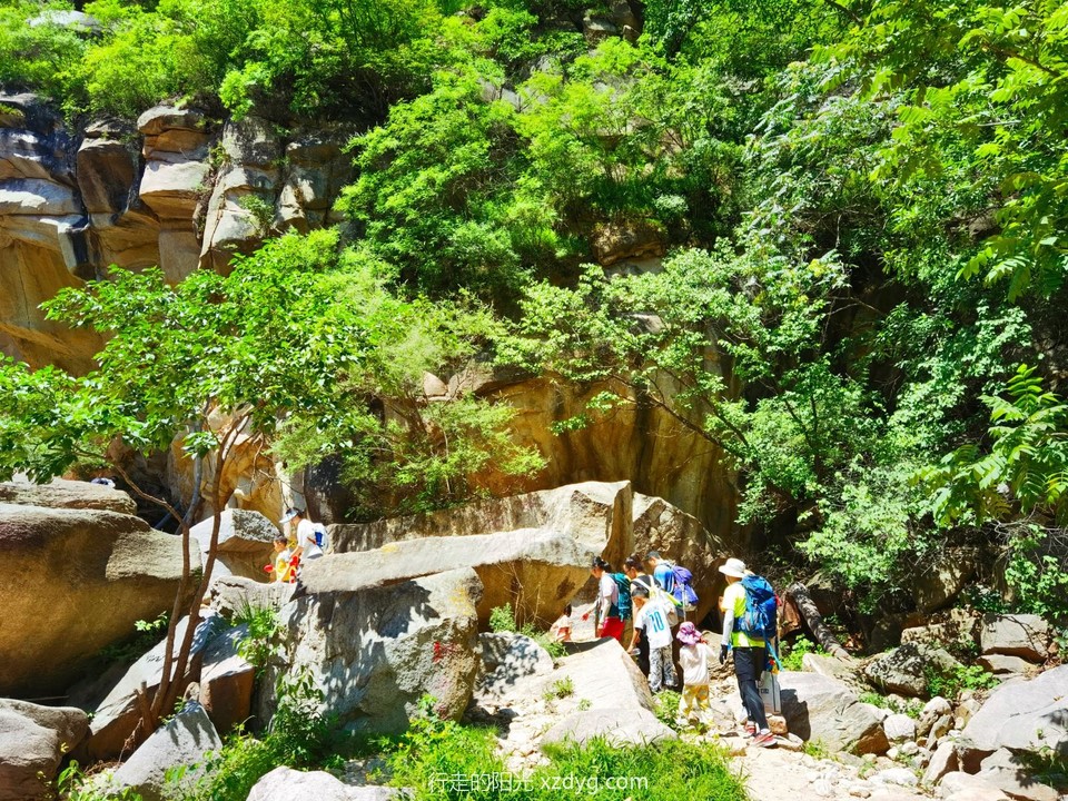 IMG_20220710_113640_edit_69921477713809