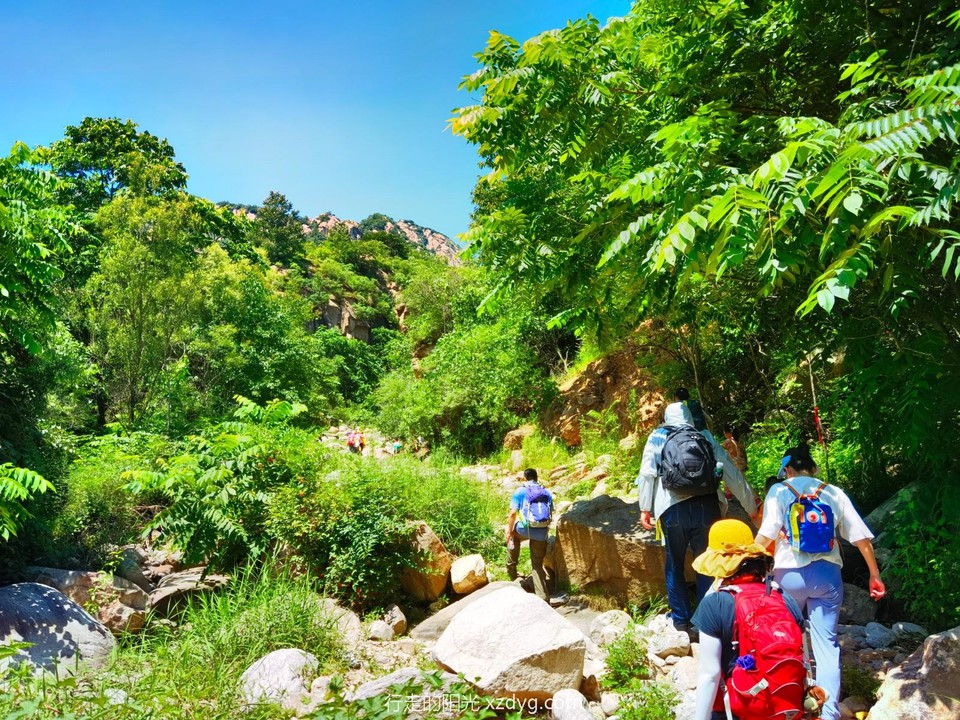 IMG_20220710_124811_edit_69857669861215