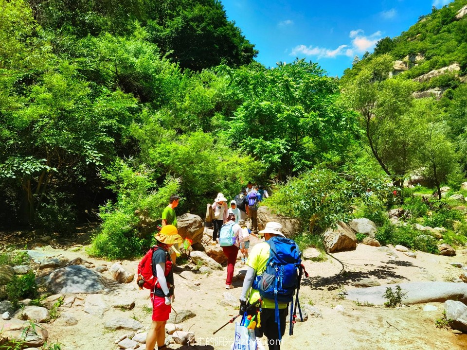 IMG_20220710_114155_edit_69875792077879