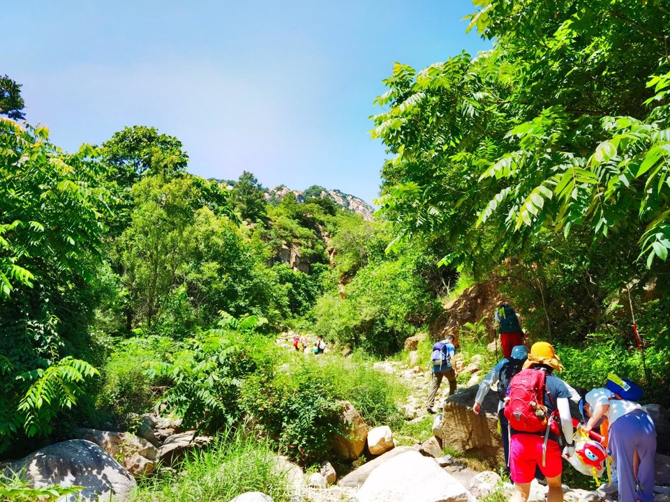 IMG_20220710_124814_edit_69844226695071