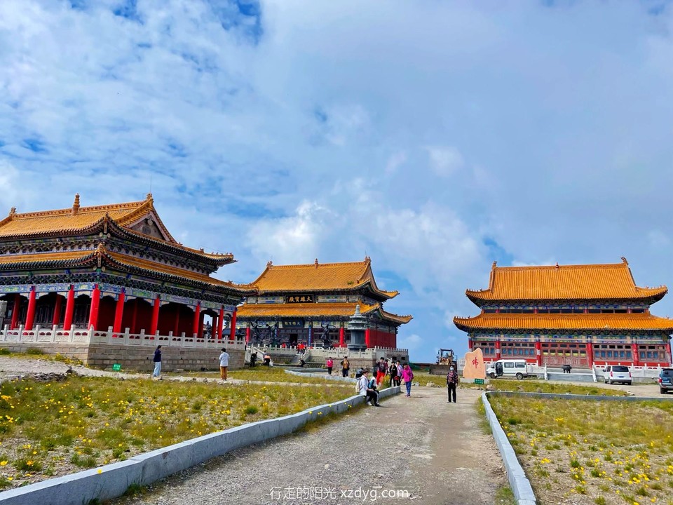 mmexport1658119280837_edit_409638822513532