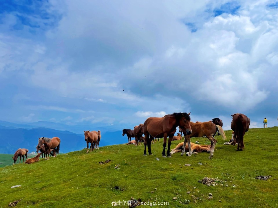 mmexport1658119297458_edit_409630692806762