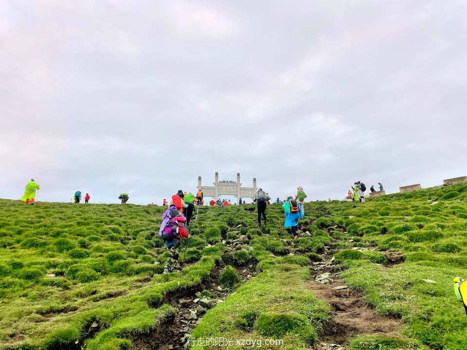 mmexport1658119450433_edit_409618478126556