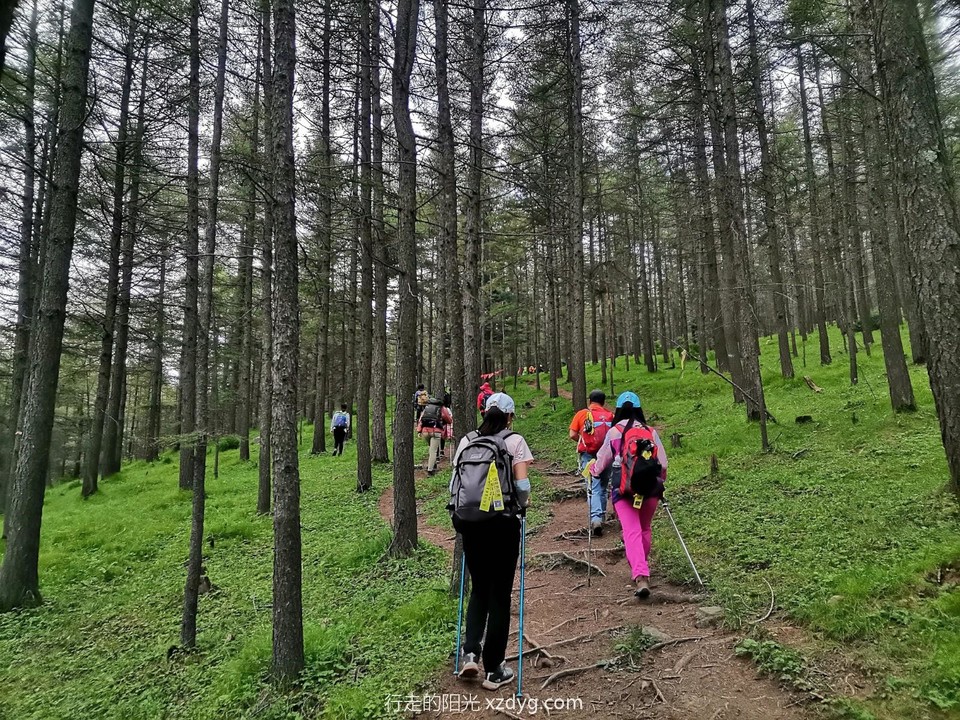 mmexport1658114087521_edit_402801707054679