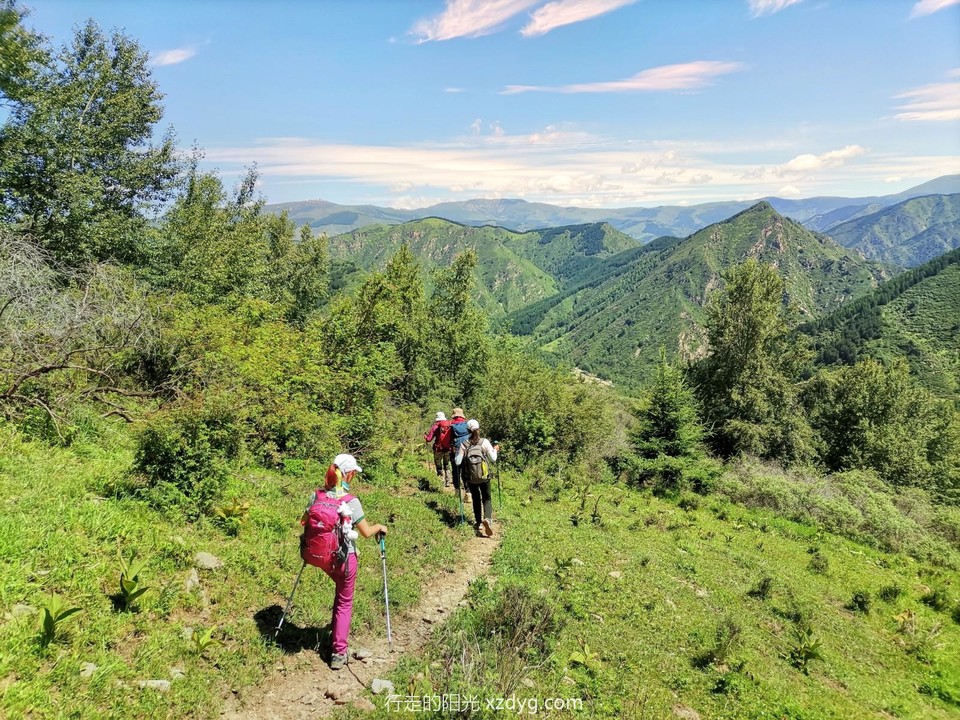 mmexport1658113996504_edit_402784345183328