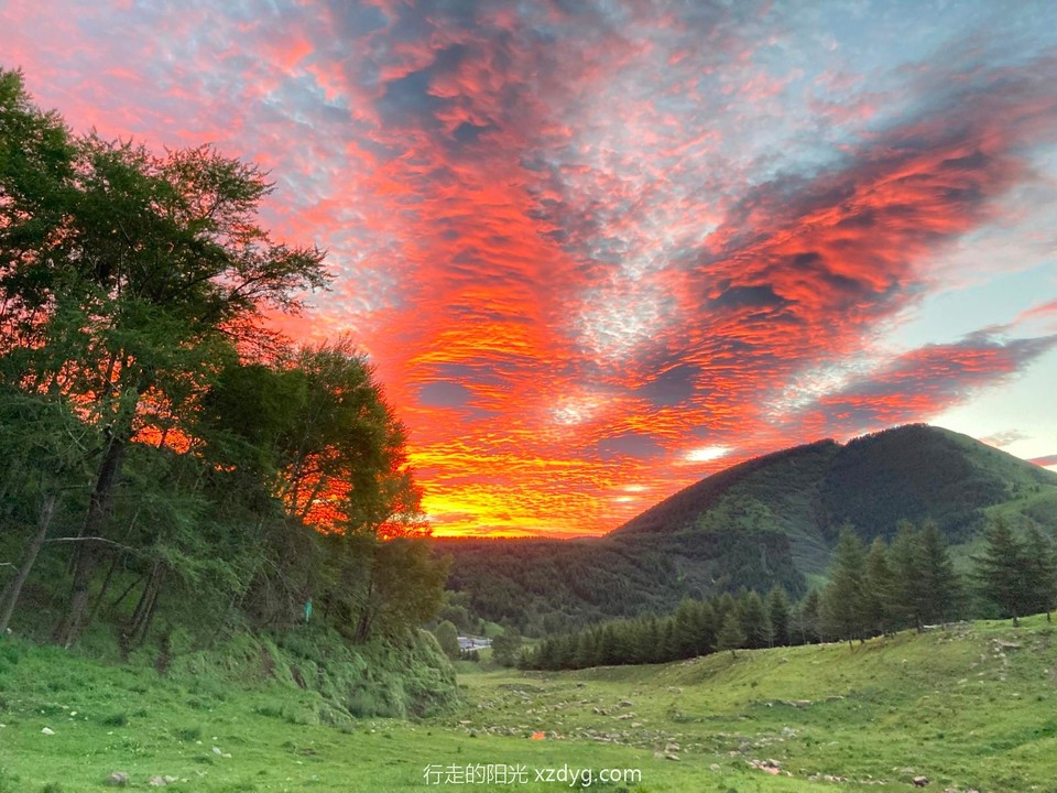 mmexport1658114420578