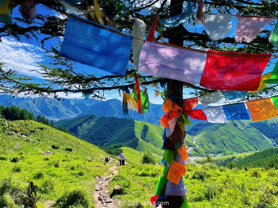 mmexport1658114275787