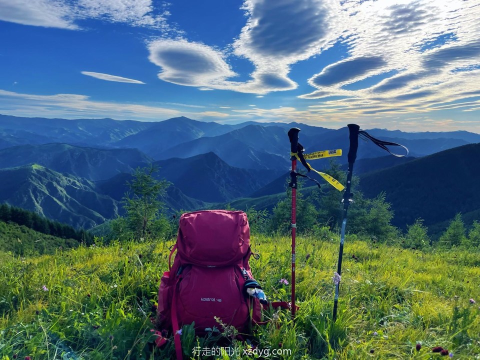 mmexport1658114261985