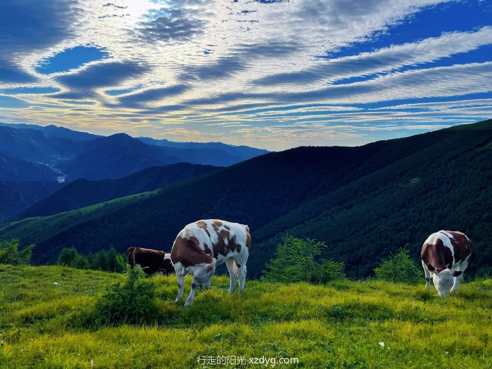 mmexport1658114251409