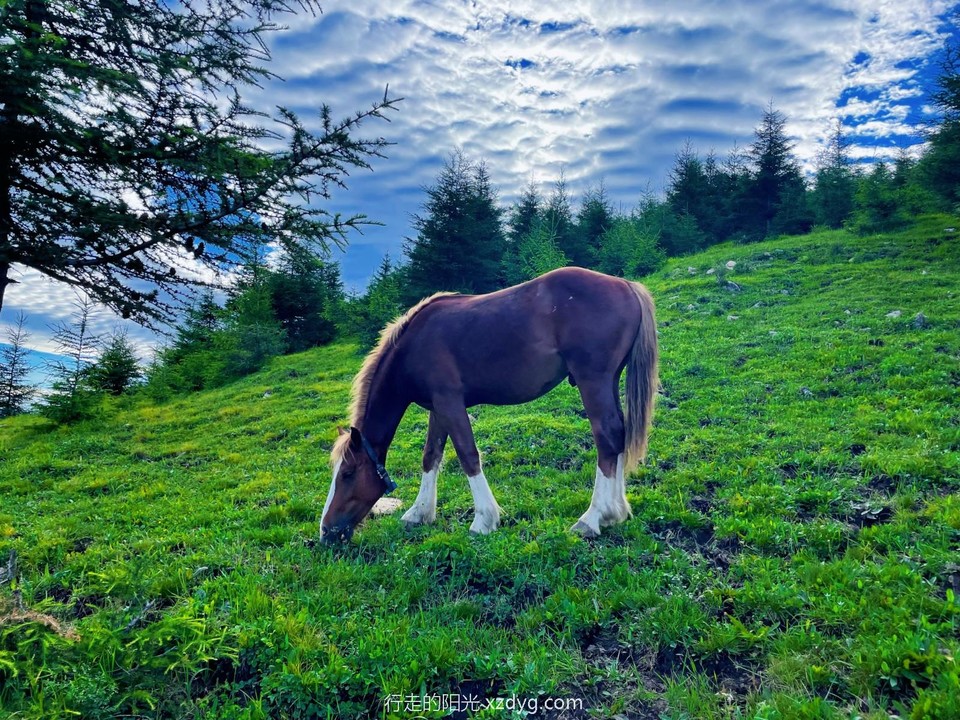 mmexport1658060266890