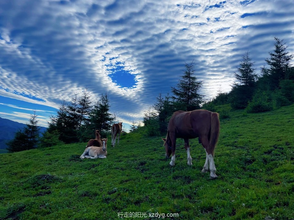 mmexport1658060249226