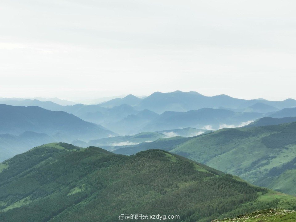 mmexport1658060077850