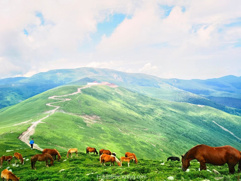 IMG_20220716_143848_edit_370447998091387