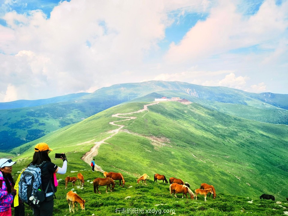 IMG_20220716_143845_edit_370437887289826