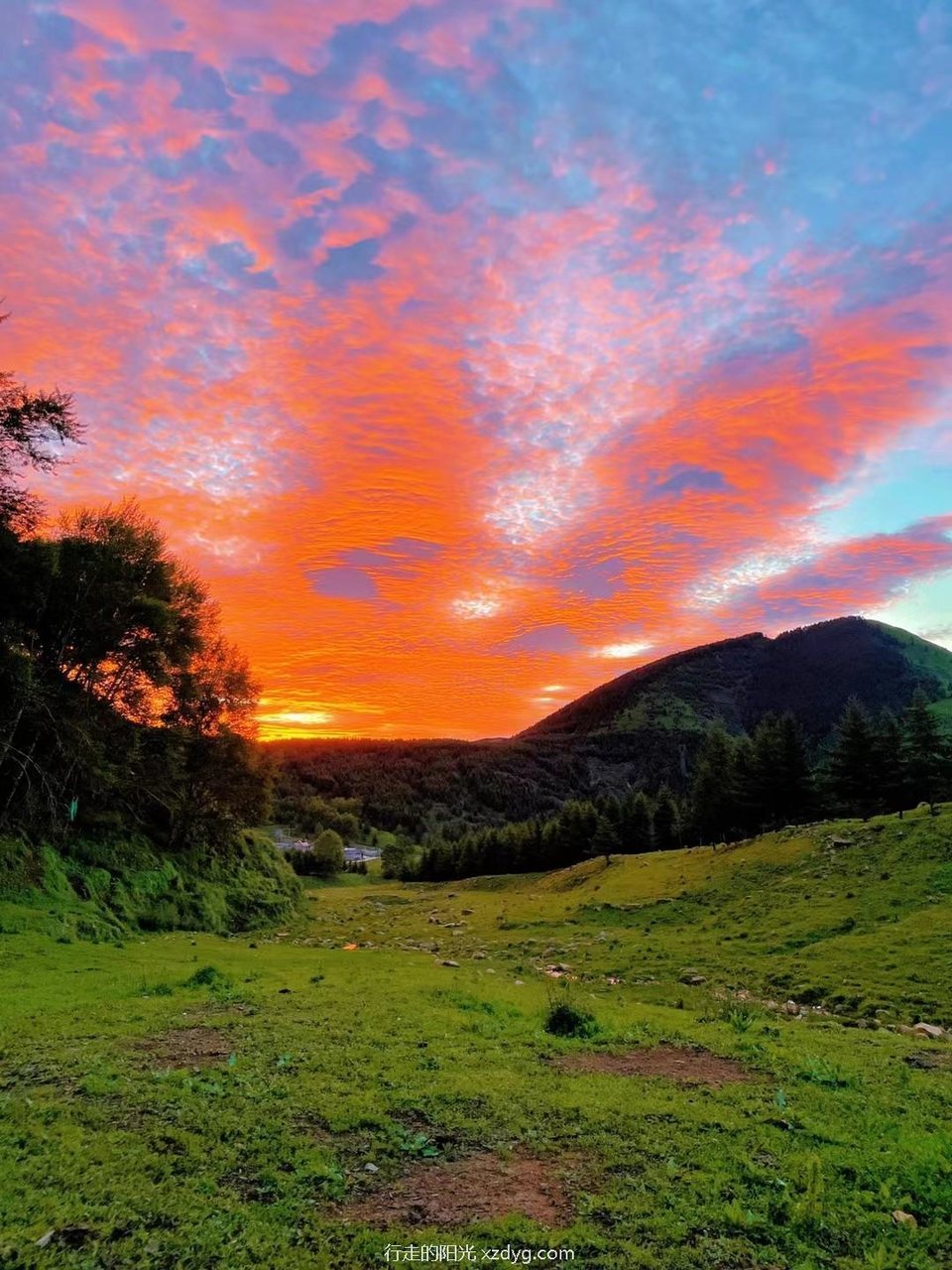 mmexport1658153765129