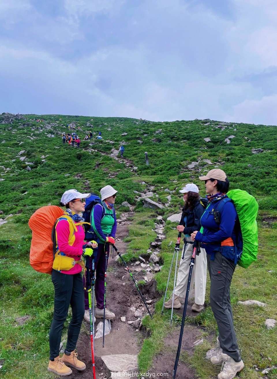 mmexport1658153229350