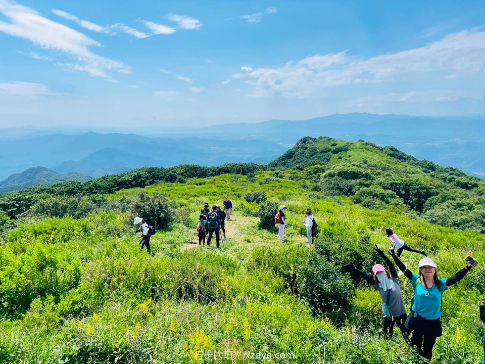 mmexport1658236789041