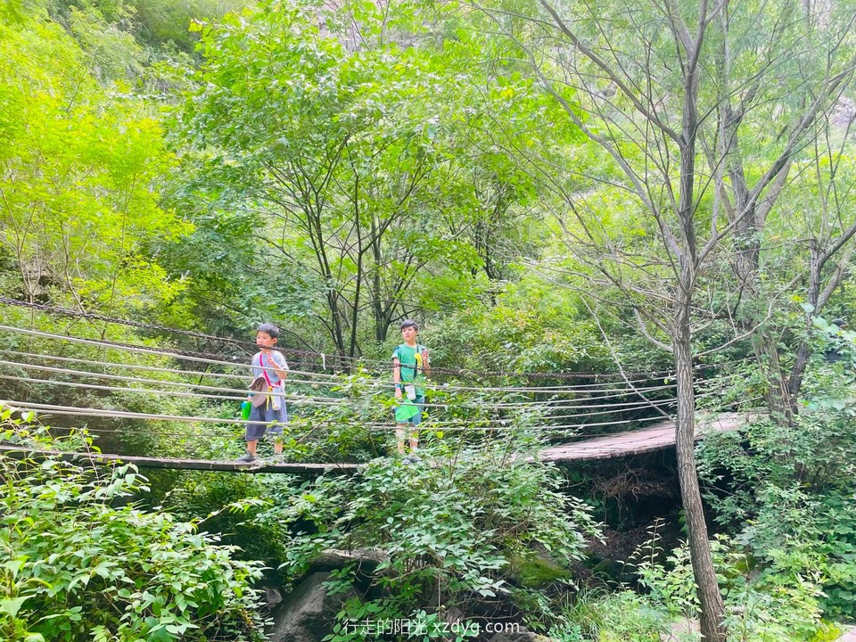 mmexport1658237182460