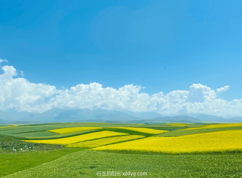 mmexport1658673419498_edit_56110839700812