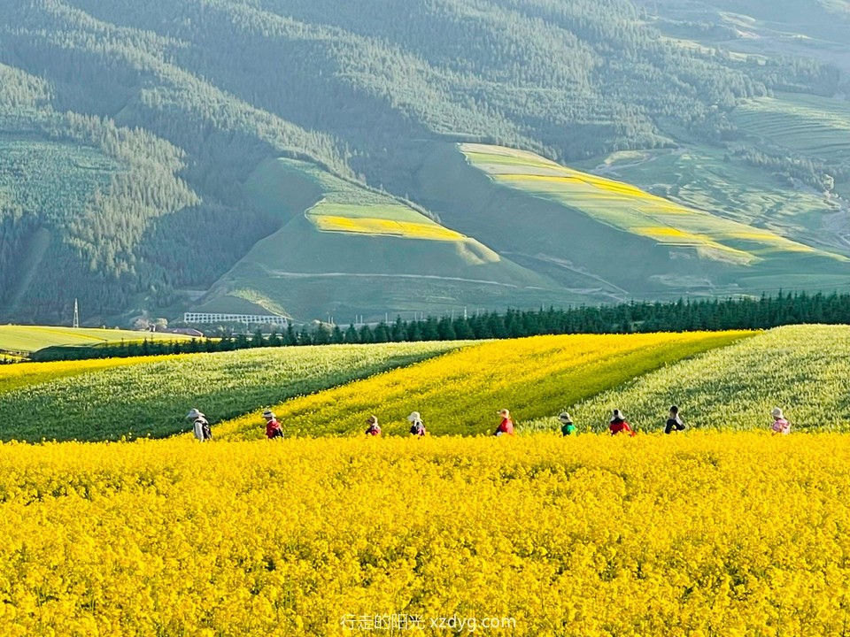 mmexport1658673351924