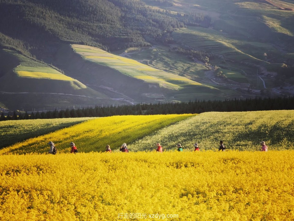 mmexport1658673334259