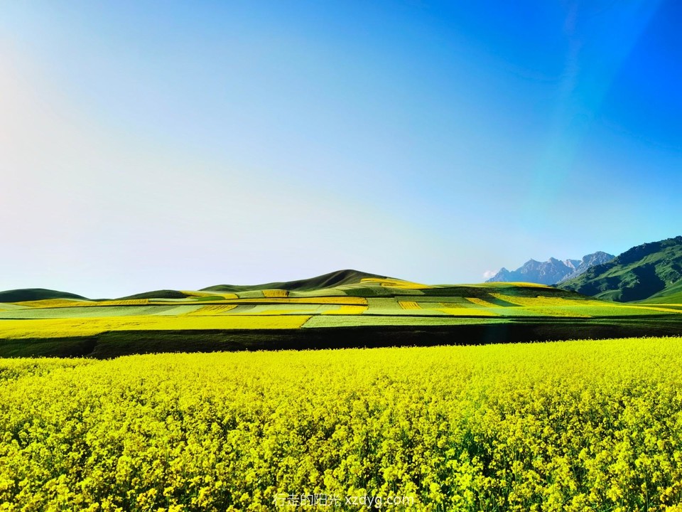 IMG_20220724_185327_edit_55726523306079