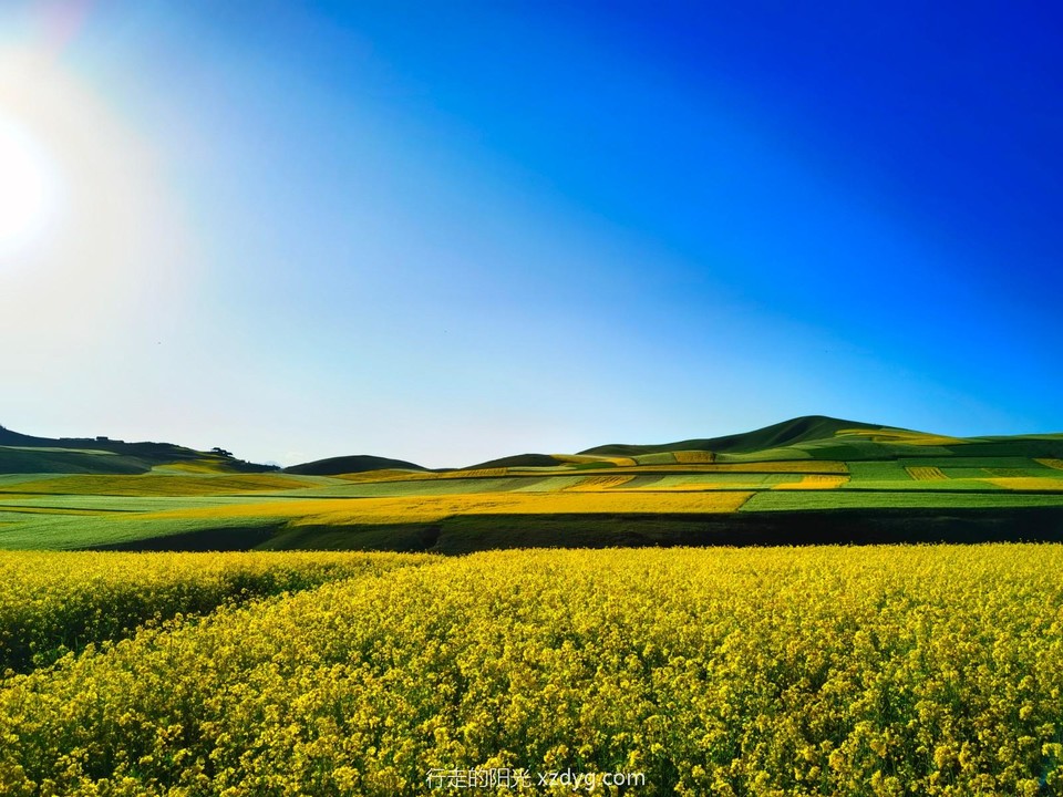 IMG_20220724_185330_edit_55715082490456