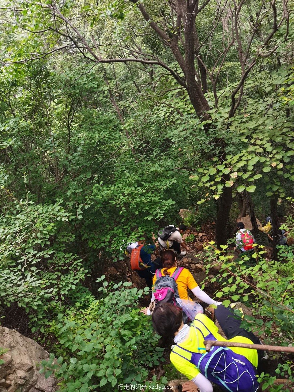 mmexport1660461294192