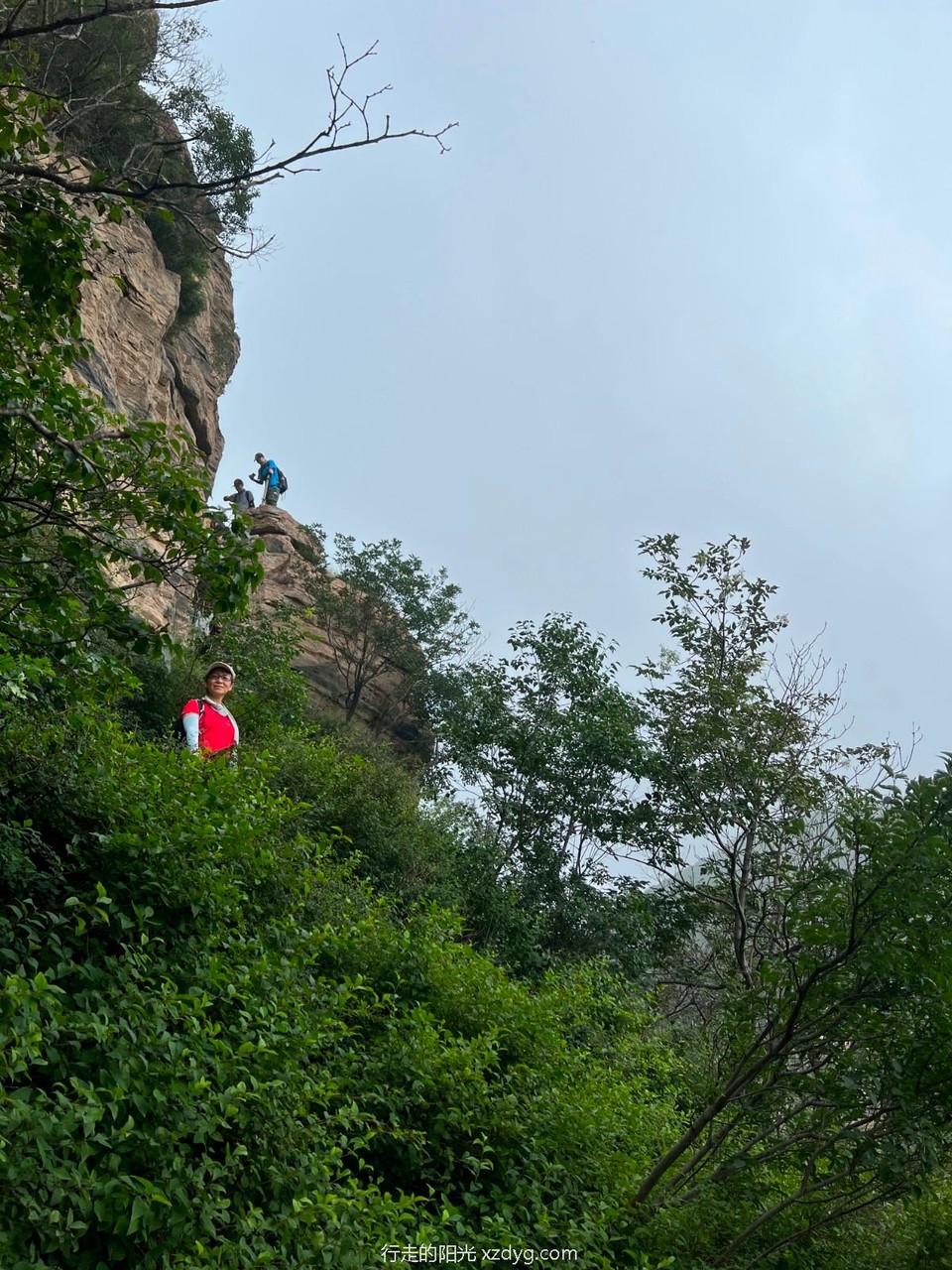 mmexport1660461422808