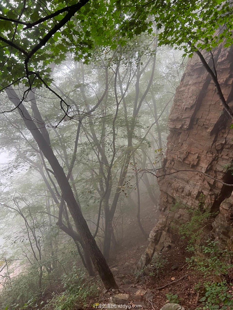 mmexport1660461446270