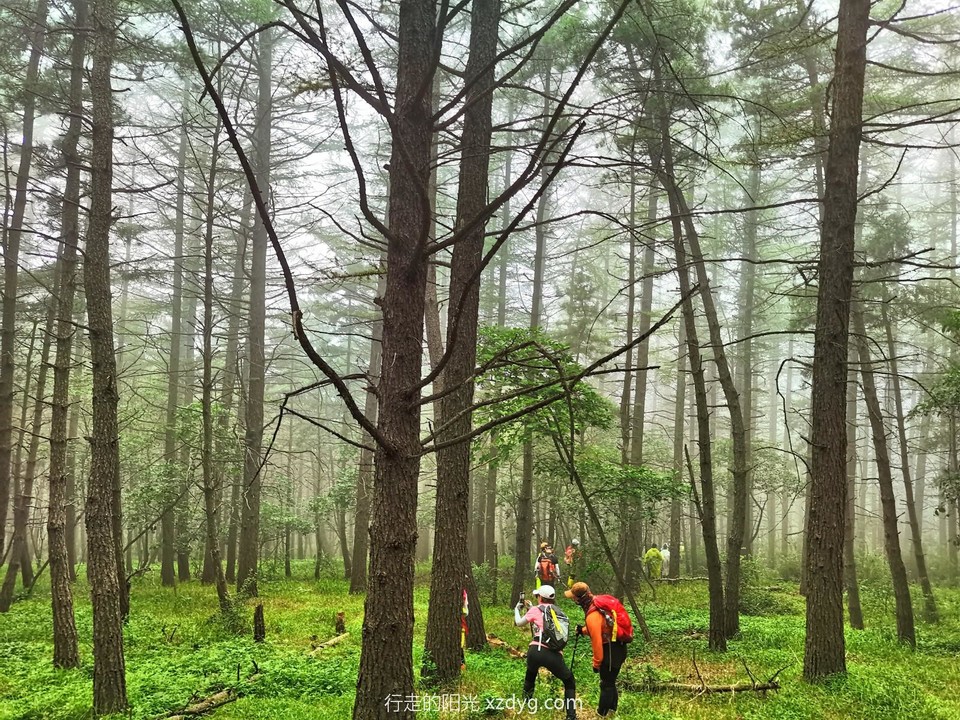 mmexport1659839444858_edit_283014669805251