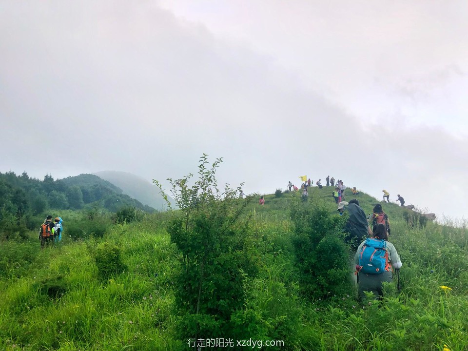 mmexport1659839725055_edit_282965541126092