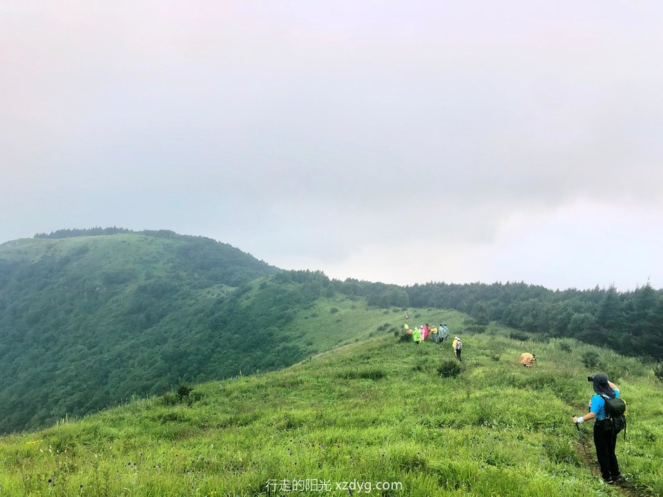 mmexport1659839734158_edit_282954880328177