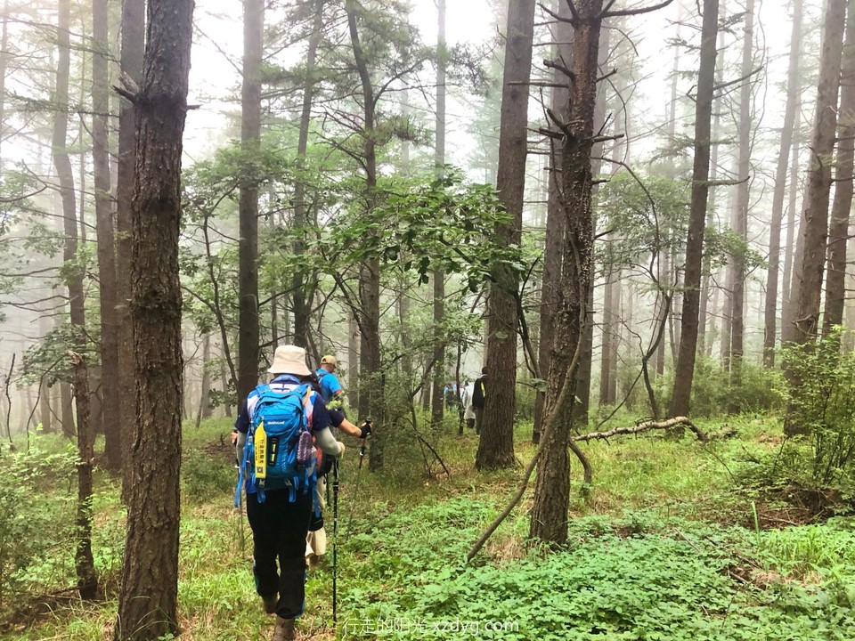 mmexport1659839825813_edit_282920792612557