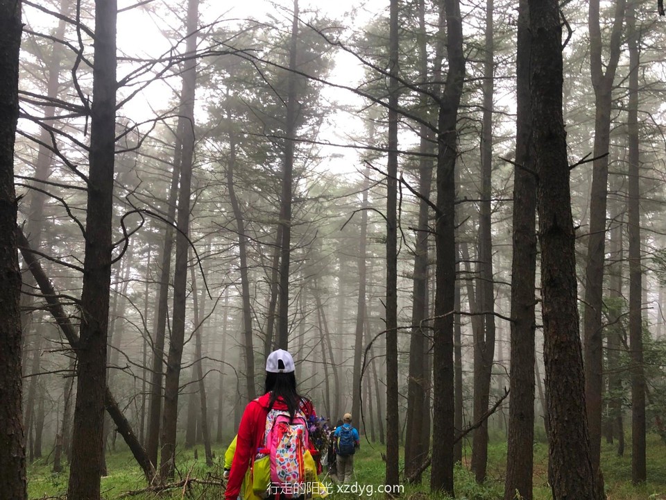 mmexport1659839783620