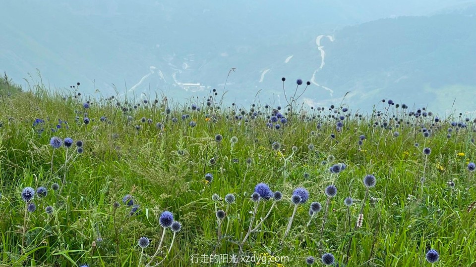 mmexport1659839771265