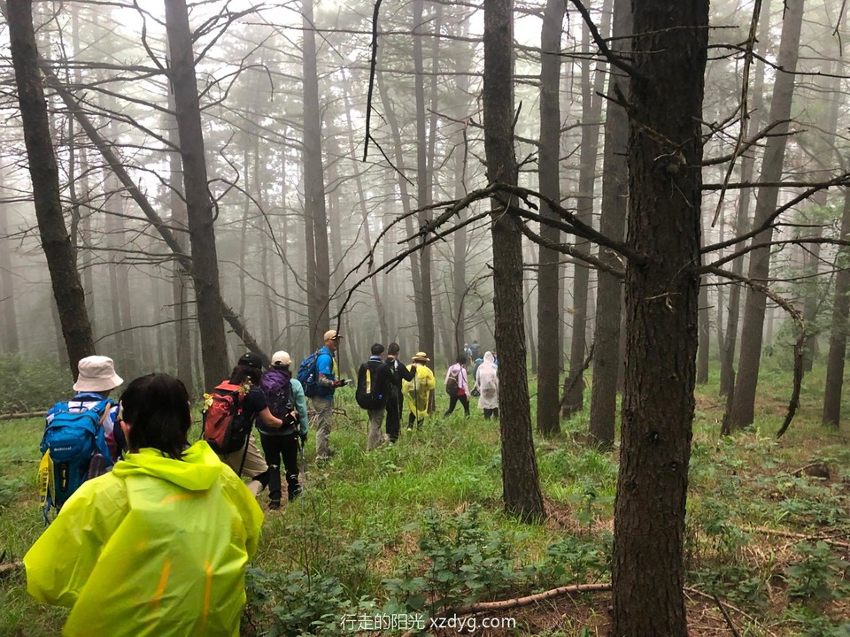 mmexport1659839744852