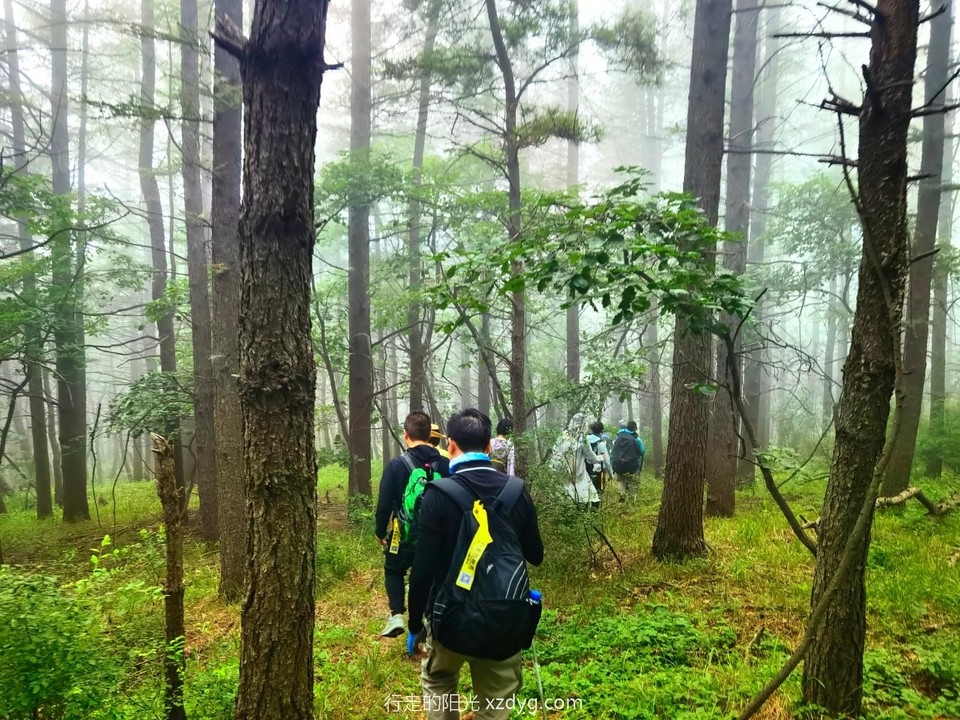 IMG_20220806_142954_edit_281263637273748