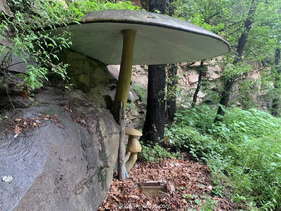 mmexport1662423292599