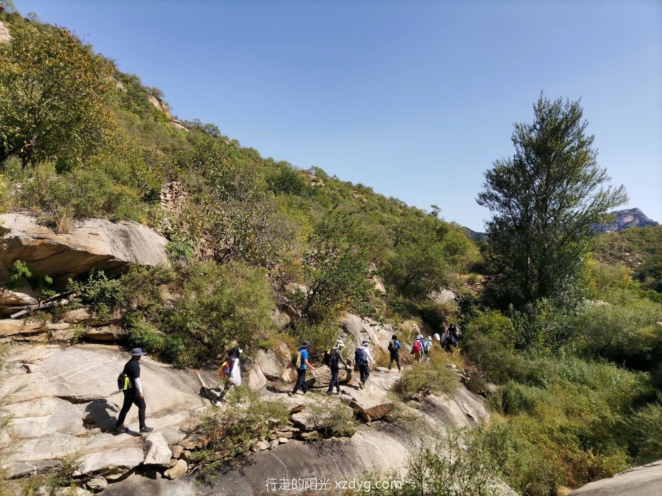 mmexport1663567073398_edit_107052369143559