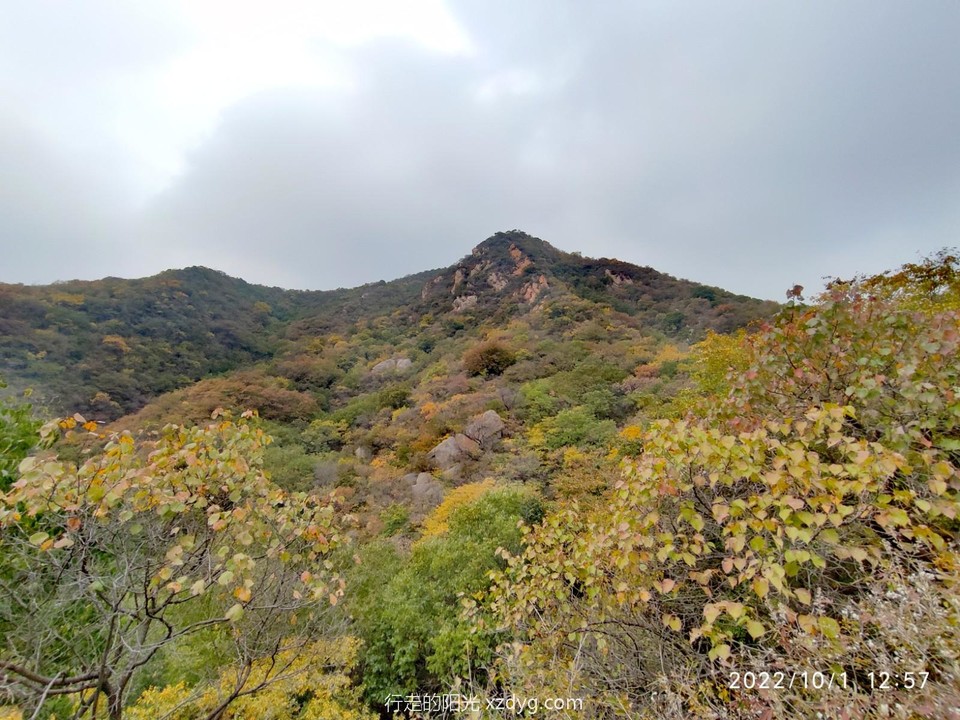 mmexport1664711932438_edit_618954813642529