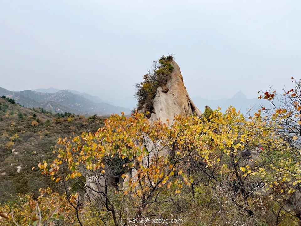 mmexport1664711881448_edit_618962011858674