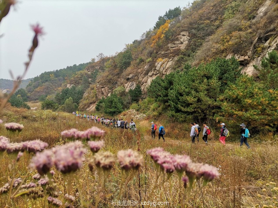 mmexport1664711850977_edit_619001558818043